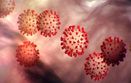 Images of Corona Virus courtesy of CDC