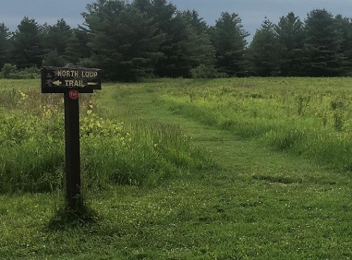 A farewell hike on the North Loop Trail at Five Rivers Center
