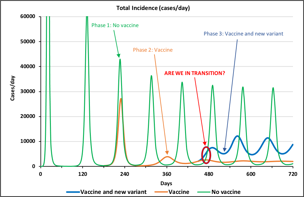 Figure 3: 720-day simulation of the COVID pandemic showing three distinct phases
